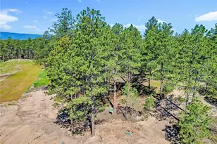 14130 Allen Ranch Rd, Colorado Springs, CO 80908 - Photo 1