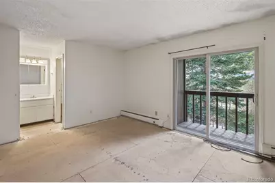 2805 Riverside Drive, Idaho Springs, CO 80452 - Photo 22