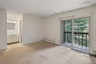 2805 Riverside Dr, Idaho Springs, CO 80452 - Photo 22