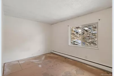 2805 Riverside Drive, Idaho Springs, CO 80452 - Photo 18