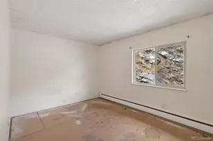 2805 Riverside Dr, Idaho Springs, CO 80452 - Photo 18