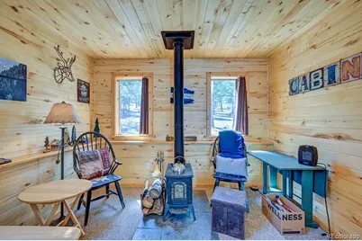 30433 National Forest Drive, Buena Vista, CO 81211 - Photo 4