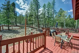 30433 National Forest Dr, Buena Vista, CO 81211 - Photo 30