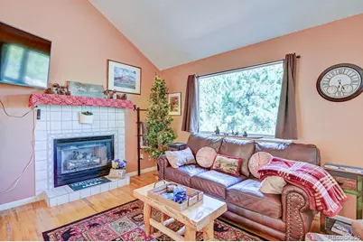 30433 National Forest Drive, Buena Vista, CO 81211 - Photo 14