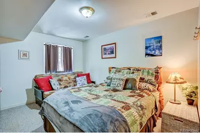 30433 National Forest Drive, Buena Vista, CO 81211 - Photo 42