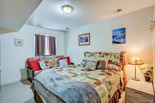 30433 National Forest Dr, Buena Vista, CO 81211 - Photo 42