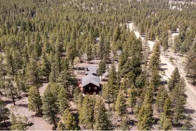 30433 National Forest Drive, Buena Vista, CO 81211 - Photo 48