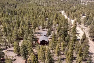 30433 National Forest Dr, Buena Vista, CO 81211 - Photo 48
