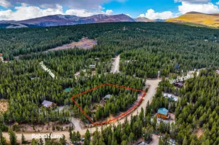 1647 Bobcat Ln, Fairplay, CO 80440 - Photo 2