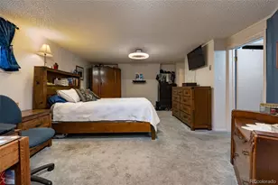 3587 G Rd, Palisade, CO 81526 - Photo 24