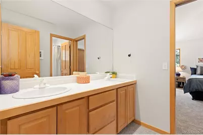 302 Cottonwood Drive, Evergreen, CO 80439 - Photo 30