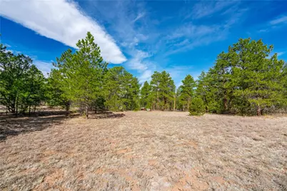 870 Oak Drive, Westcliffe, CO 81252 - Photo 8