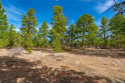 870 Oak Drive, Westcliffe, CO 81252 - Photo 14