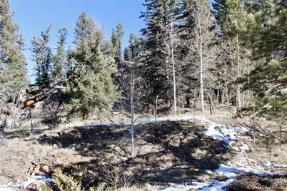Lot 1 Co Rd 358, Westcliffe, CO 81252 - Photo 20