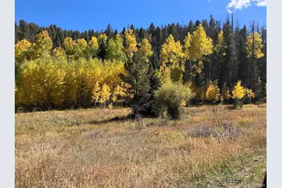 Lot 1 Co Rd 358, Westcliffe, CO 81252 - Photo 4