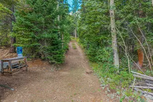 241 Co Rd 126, Nederland, CO 80466 - Photo 40