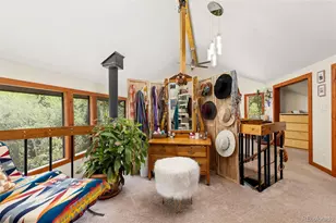 241 Co Rd 126, Nederland, CO 80466 - Photo 22