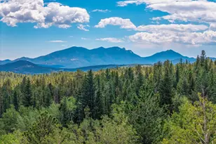 241 Co Rd 126, Nederland, CO 80466 - Photo 42