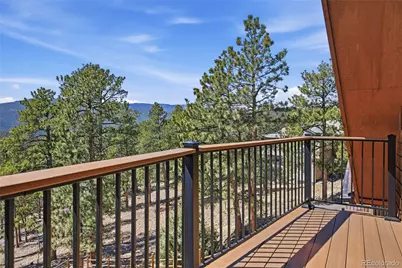 16 Auk Lane, Bailey, CO 80421 - Photo 28