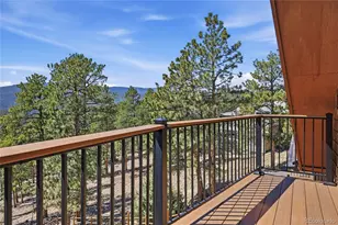 16 Auk Ln, Bailey, CO 80421 - Photo 28