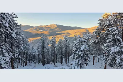 16 Auk Lane, Bailey, CO 80421 - Photo 38