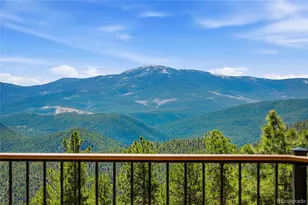 16 Auk Ln, Bailey, CO 80421 - Photo 10