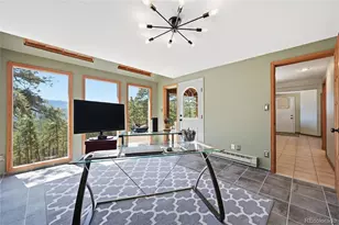 16 Auk Ln, Bailey, CO 80421 - Photo 20