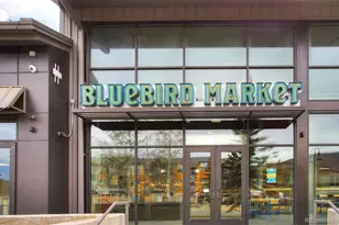 4200 Lodgepole Cir, Silverthorne, CO 80498 - Photo 50