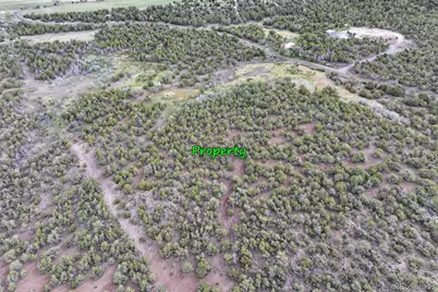 12705 55 Road, Collbran, CO 81624 - Photo 28