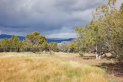 12705 55 Road, Collbran, CO 81624 - Photo 12