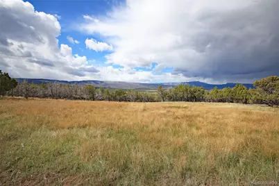 12705 55 Road, Collbran, CO 81624 - Photo 14