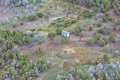 12705 55 Road, Collbran, CO 81624 - Photo 20