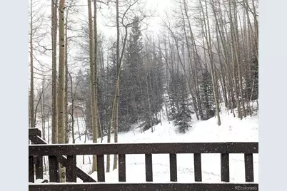 288 Roberts Road, Alma, CO 80420 - Photo 16