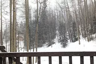 288 Roberts Rd, Alma, CO 80420 - Photo 16