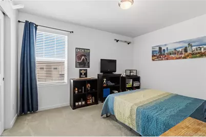 9090 Franconia Court, Parker, CO 80134 - Photo 24