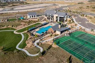 435 Basin Daisy St, Castle Rock, CO 80104 - Photo 32