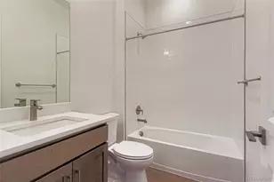 435 Basin Daisy St, Castle Rock, CO 80104 - Photo 22