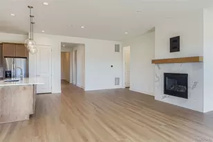 435 Basin Daisy St, Castle Rock, CO 80104 - Photo 8