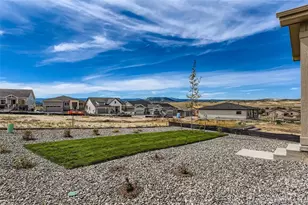 435 Basin Daisy St, Castle Rock, CO 80104 - Photo 26