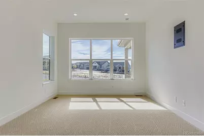 435 Basin Daisy Street, Castle Rock, CO 80104 - Photo 16