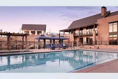 435 Basin Daisy Street, Castle Rock, CO 80104 - Photo 38