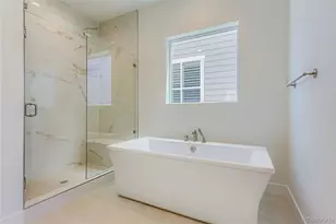 435 Basin Daisy St, Castle Rock, CO 80104 - Photo 18