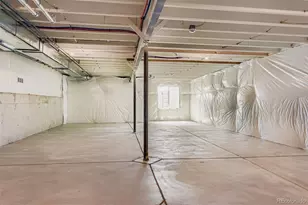 435 Basin Daisy St, Castle Rock, CO 80104 - Photo 24