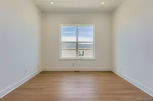 435 Basin Daisy St, Castle Rock, CO 80104 - Photo 14