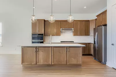 435 Basin Daisy Street, Castle Rock, CO 80104 - Photo 12