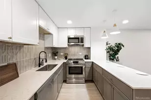 830 N Sherman Street, Denver, CO 80203 - Photo 4