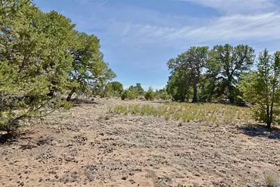 3921 Cordial Way, Crestone, CO 81131 - Photo 8