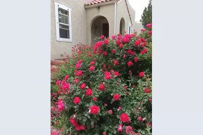 2002 W Ridge Road, Littleton, CO 80120 - Photo 4