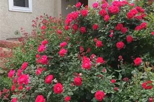 2002 W Ridge Rd, Littleton, CO 80120 - Photo 4