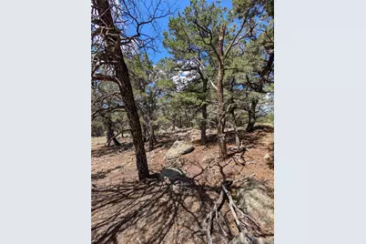 1240 Brookview Way, Crestone, CO 81131 - Photo 10
